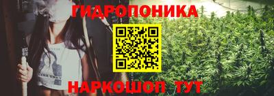 гидра Нарткала